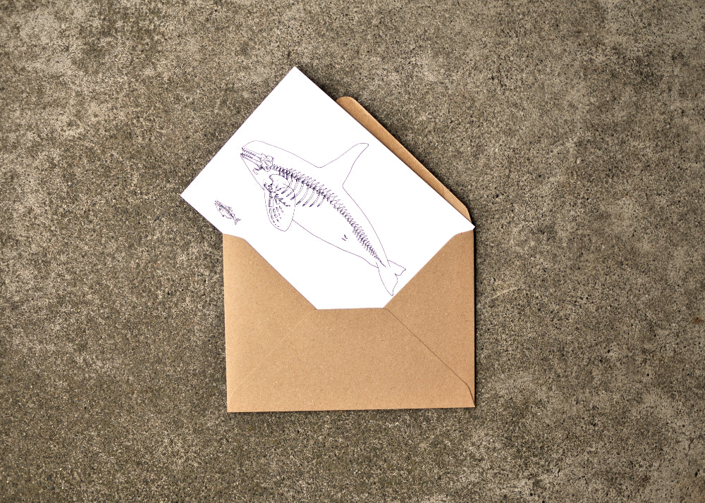 X-Ray Orca & Chinook Greeting Card