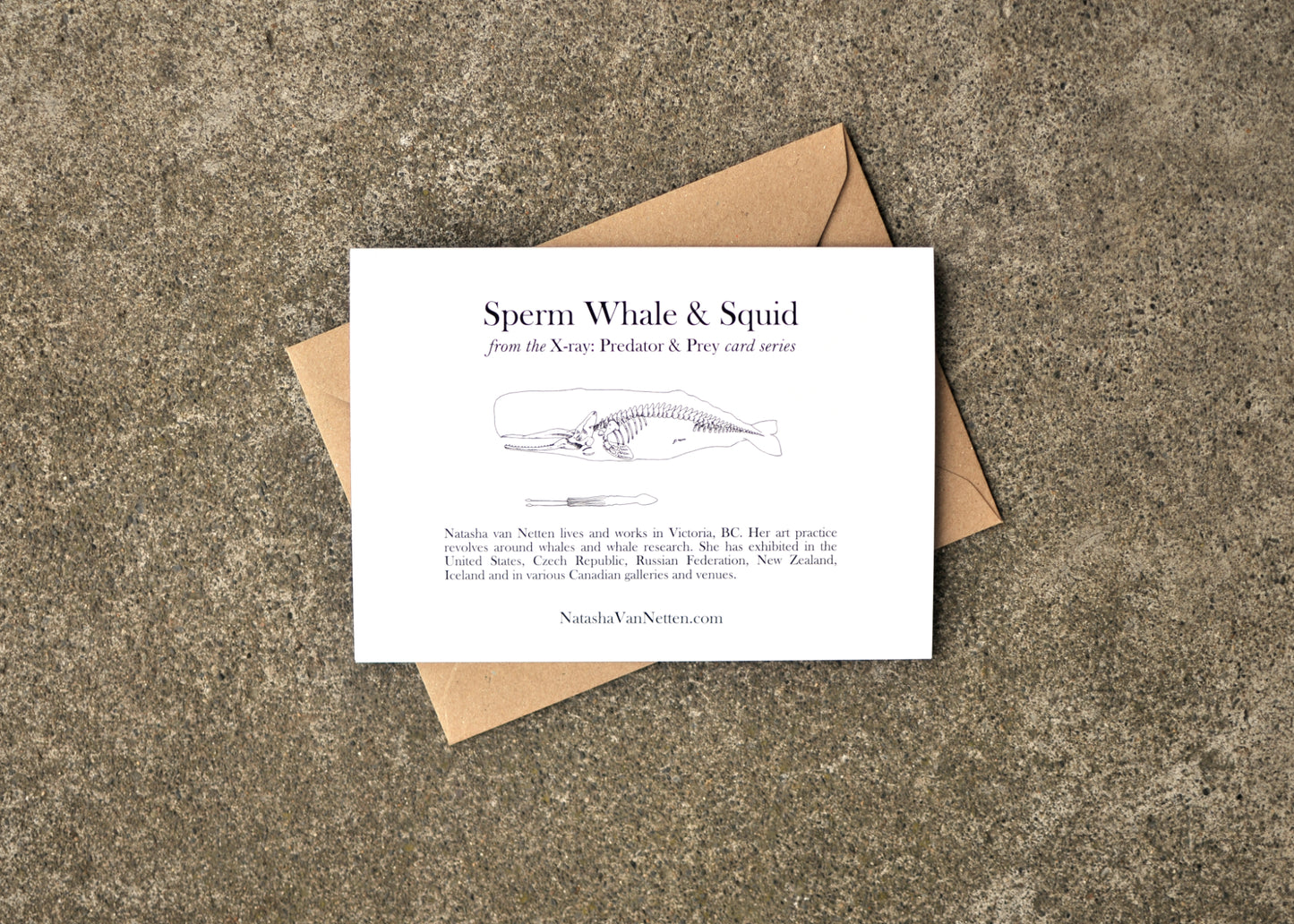 X-Ray Sperm Whale & Squid Greeting Card