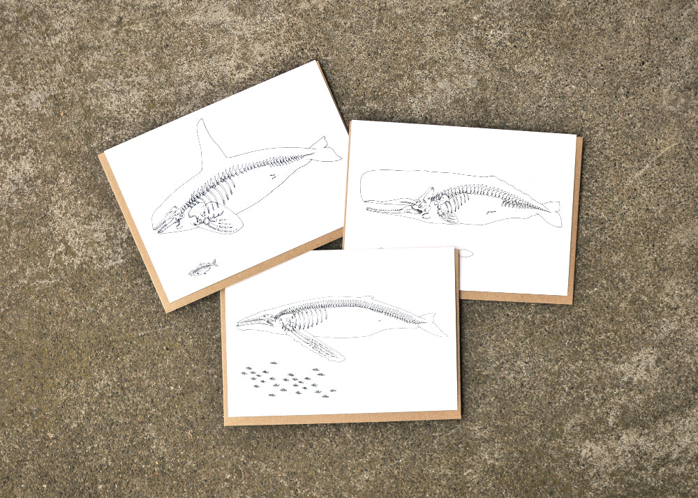 X-Ray Humpback Whale & Herring Greeting Card