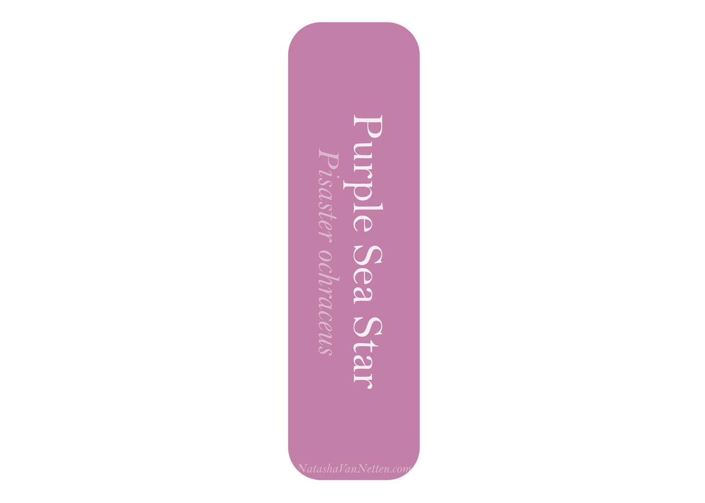 Ocean Bookmark - Starfish