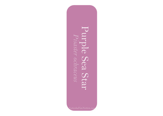 Ocean Bookmark - Starfish