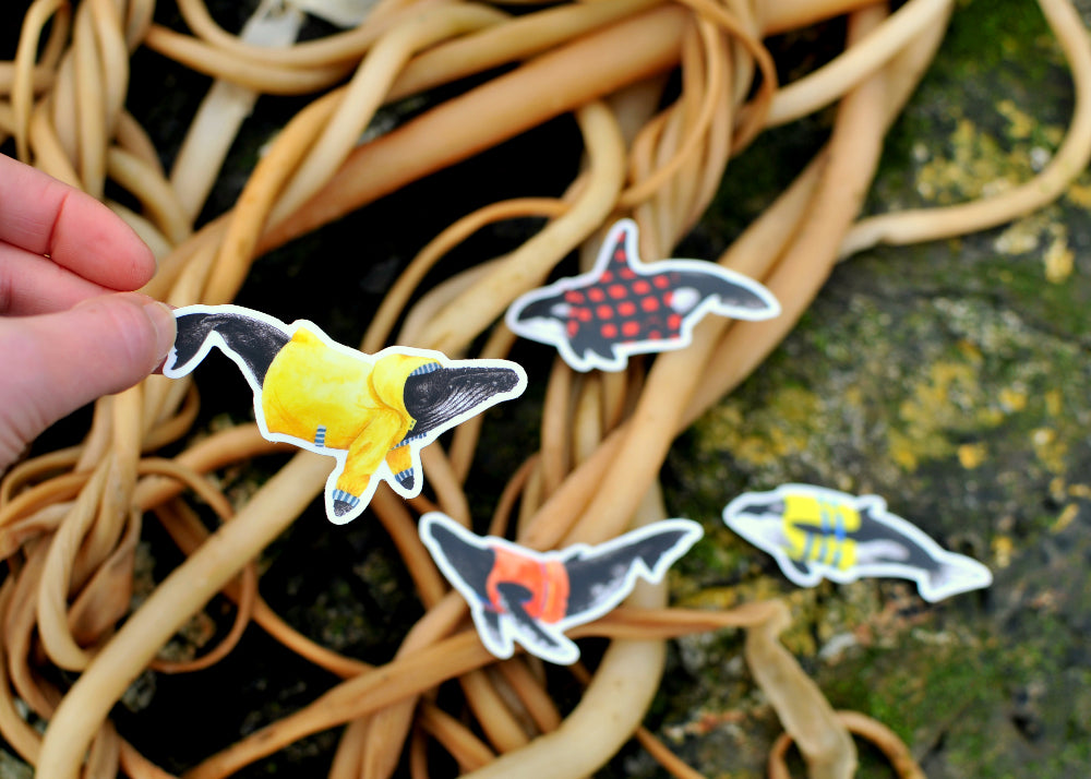 Whale Stickers - Set of Four Coastal