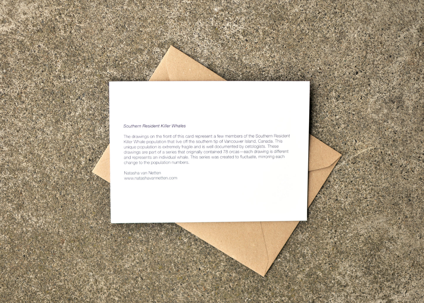 Southern Resident Killer Whale Greeting Card