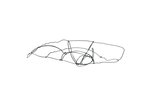 Photo of a 3D wire sperm whale sculpture.