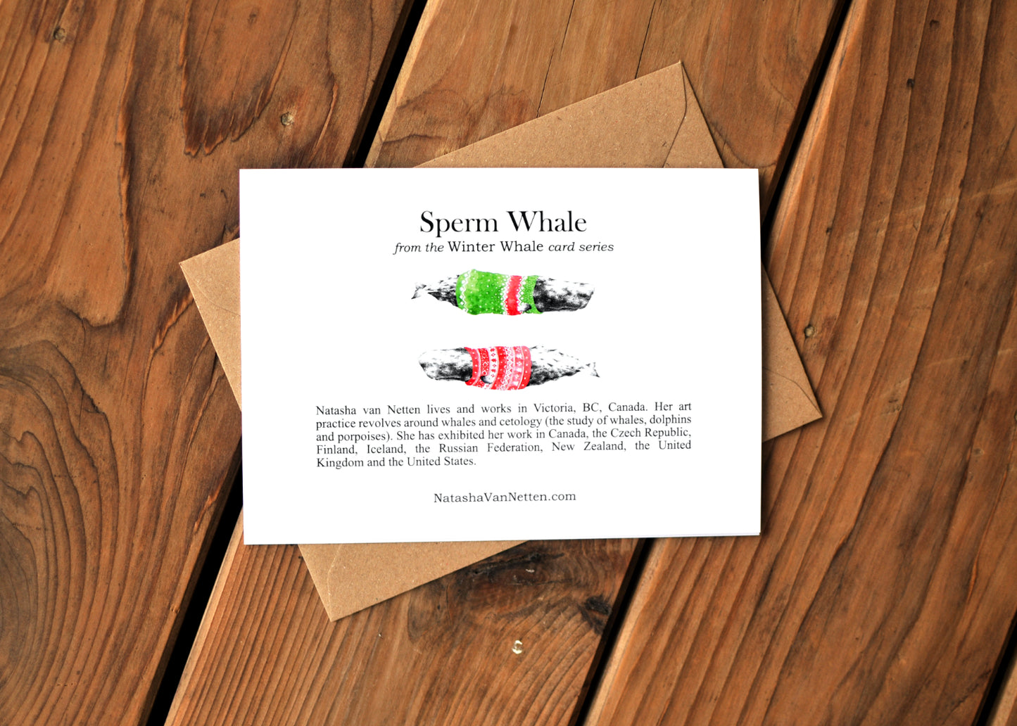 Photo of the back of the card.