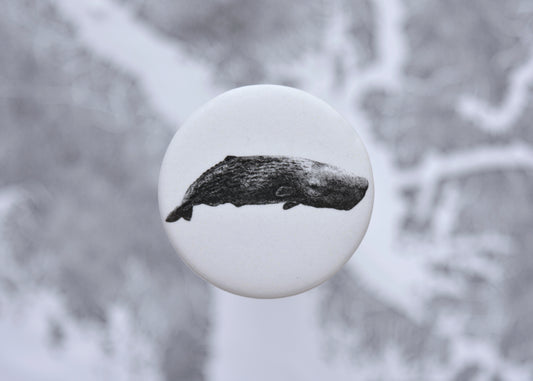 Sperm Whale Button