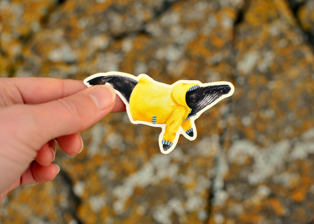 Wet Coast Humpback Whale Sticker
