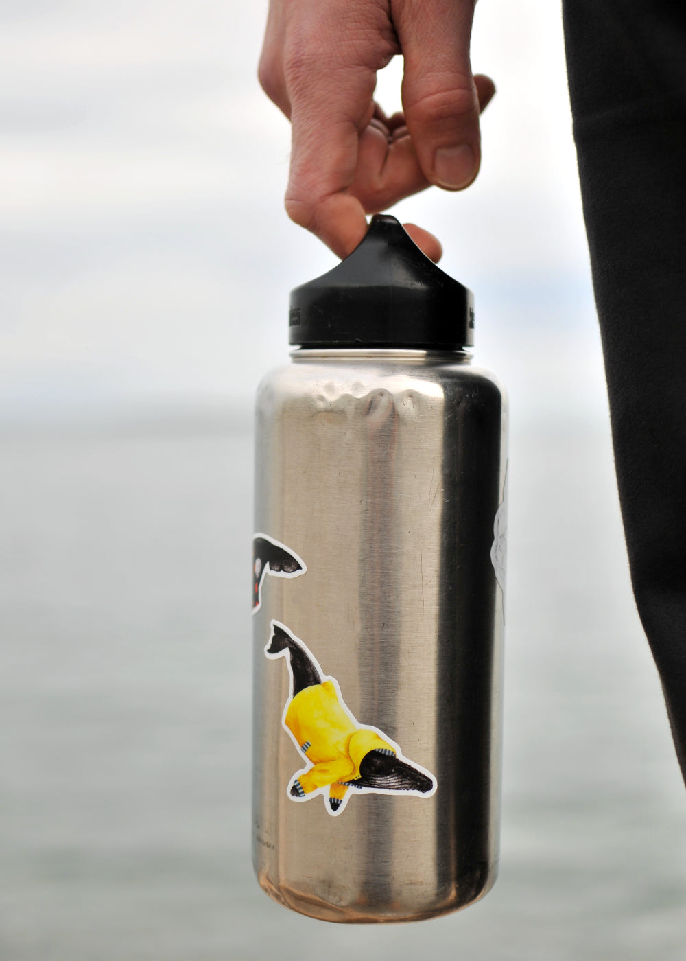Wet Coast Humpback Whale Sticker