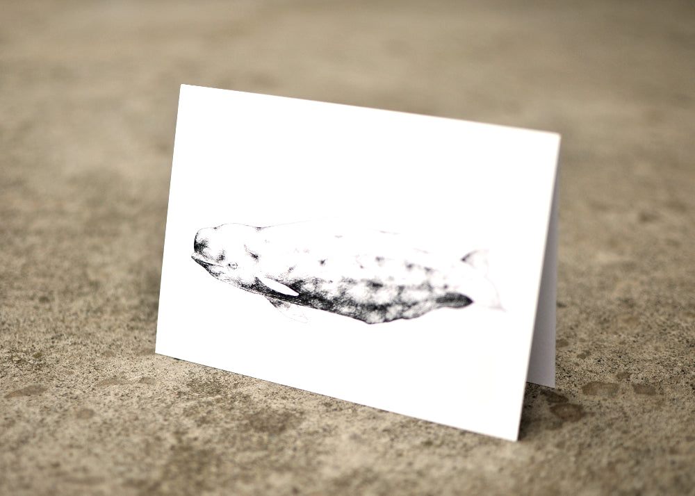 Typhlosis Beluga Greeting Card
