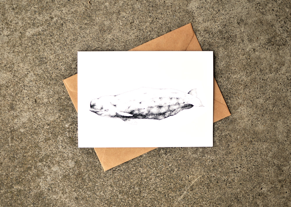 Typhlosis Beluga Greeting Card