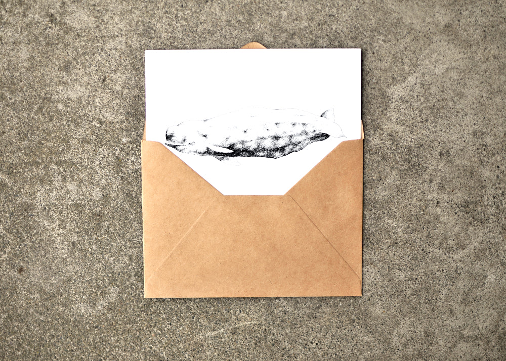 Typhlosis Whale Greeting Card Set