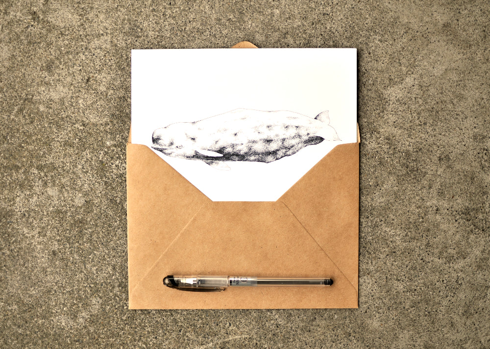 Typhlosis Beluga Greeting Card