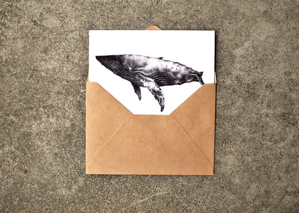 Typhlosis Whale Greeting Card Set