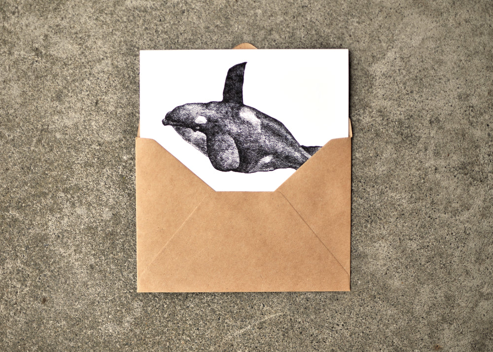 Typhlosis Whale Greeting Card Set