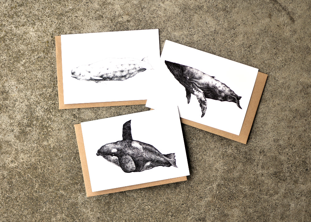 Typhlosis Whale Greeting Card Set