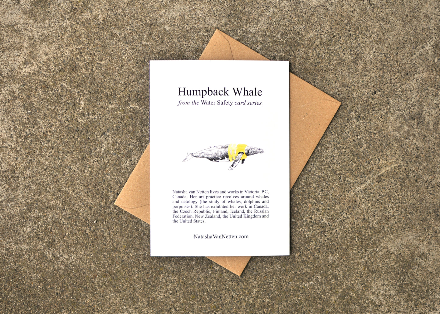 Water Safety Humpback Whale Greeting Card