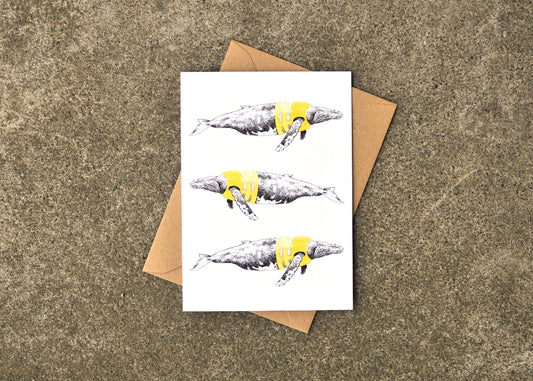 Water Safety Humpback Whale Greeting Card