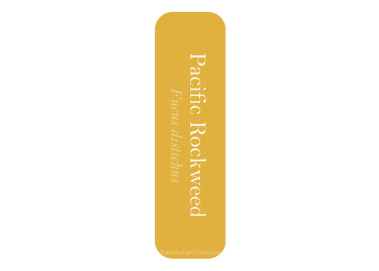 Ocean Bookmark - Rockweed