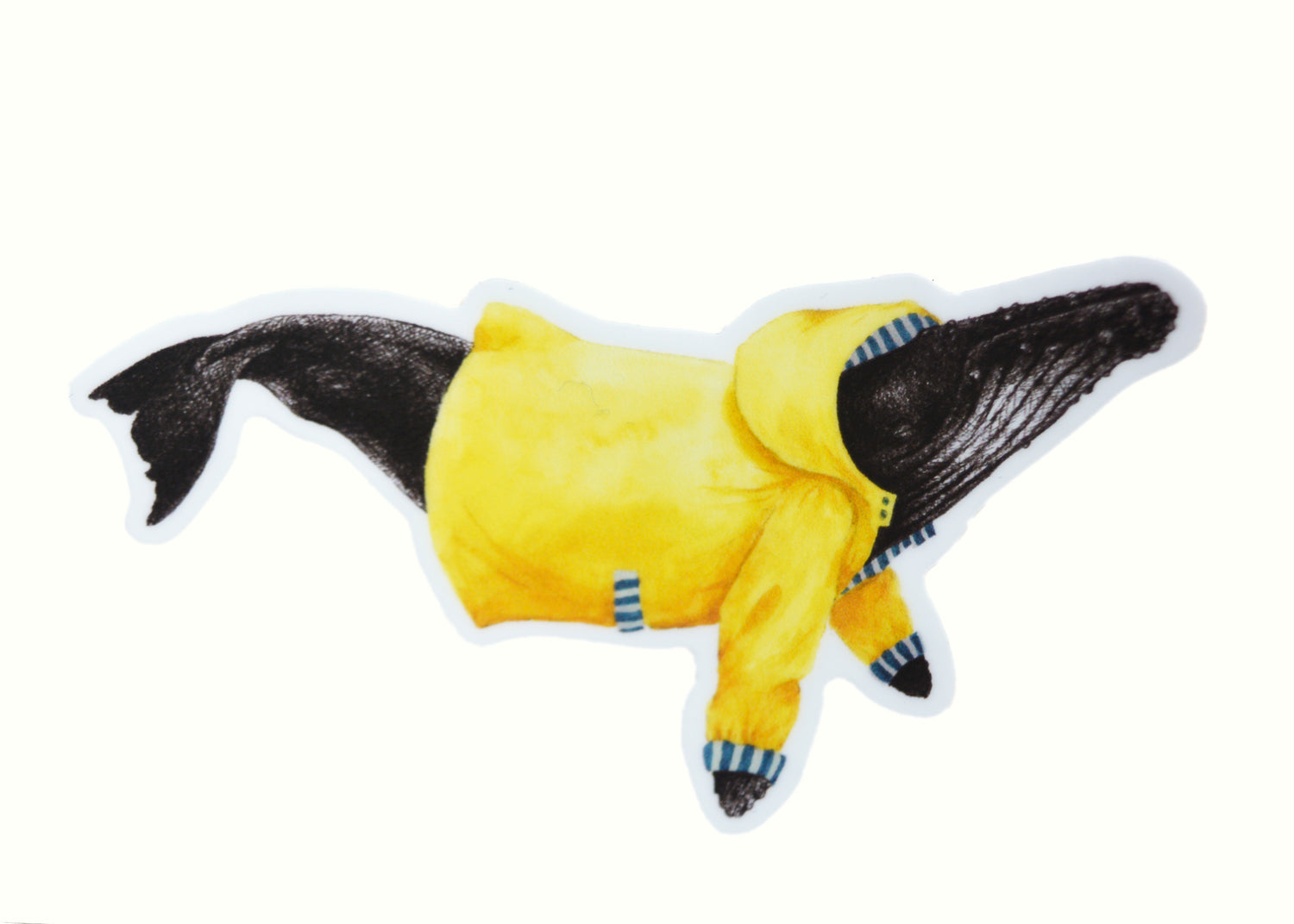 Vinyl Whale Stickers