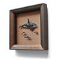 Framed drawings of dolphins and porpoises in shadowbox 