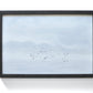 Framed oil painting of seabirds by Natasha van Netten 