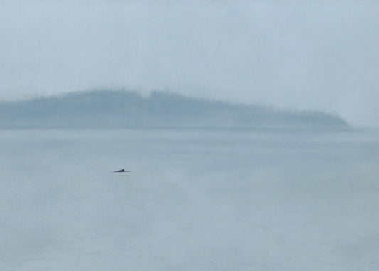 Framed oil painting of humpback whale by Natasha van Netten 