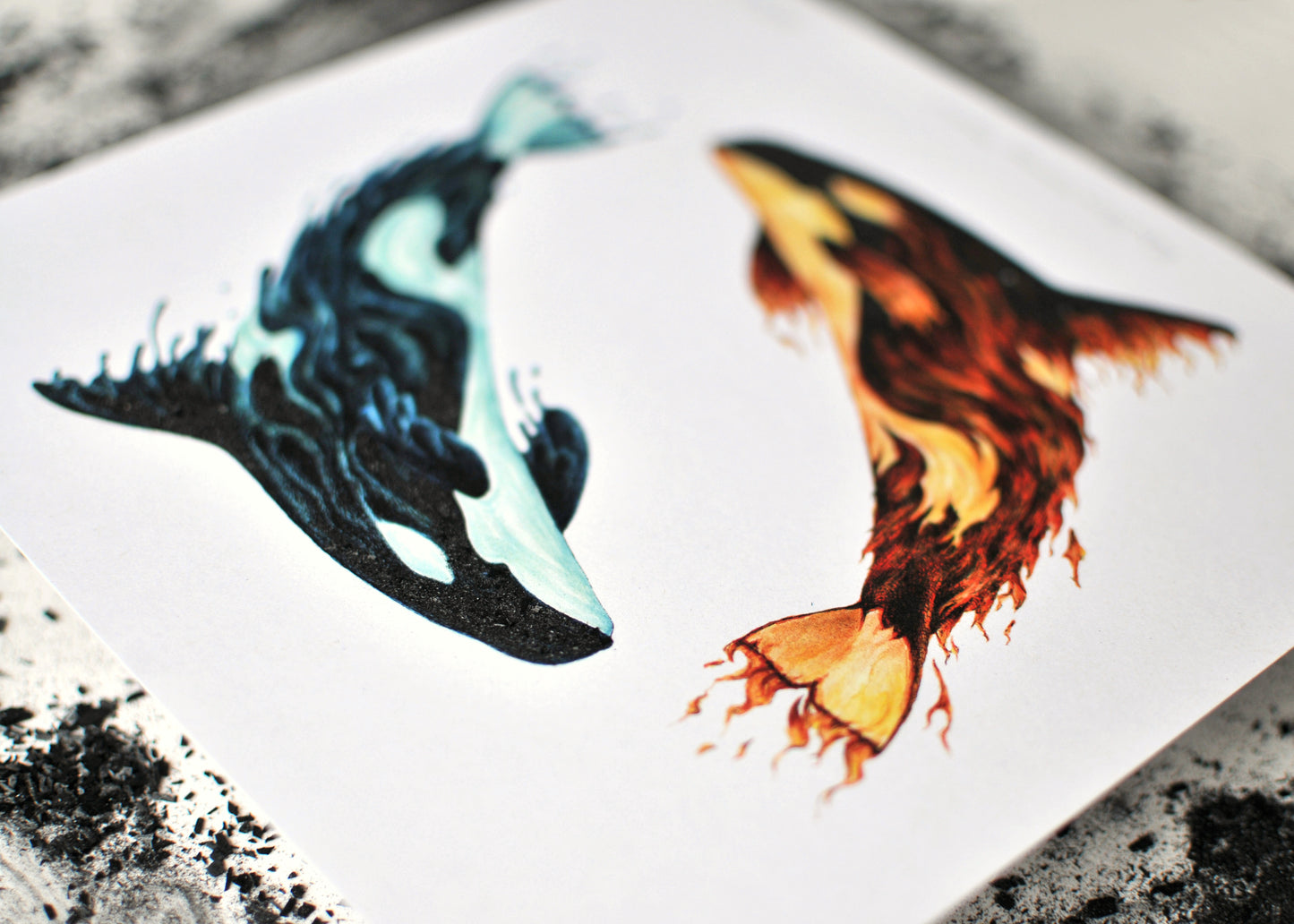 Special Fundraiser Print for the Whale Interpretive Centre