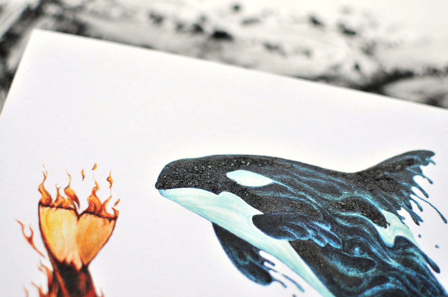 Special Fundraiser Print for the Whale Interpretive Centre