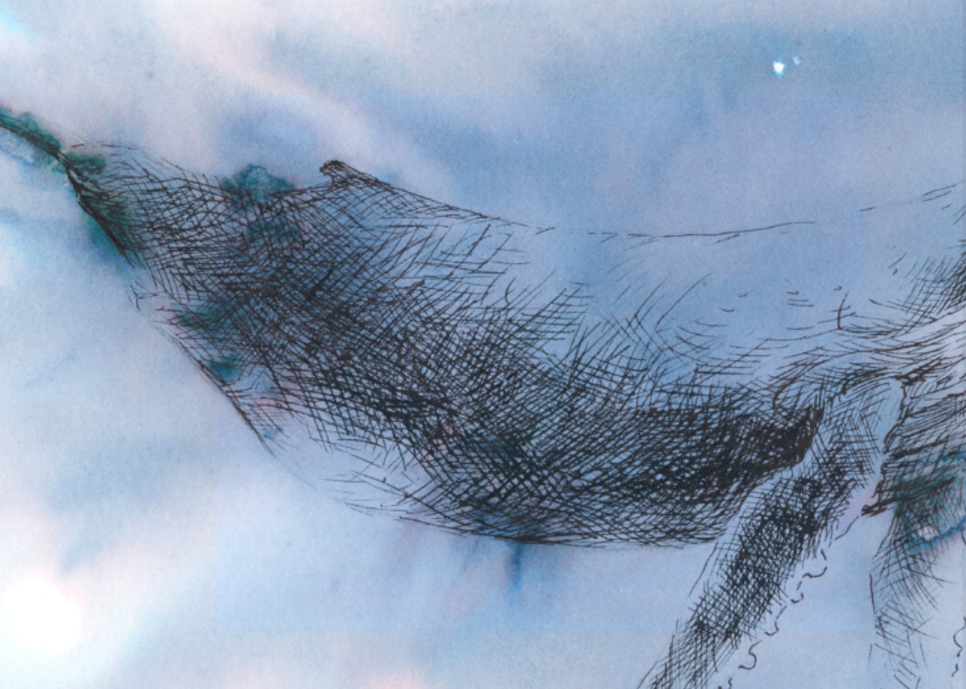 Close up of drawing 
