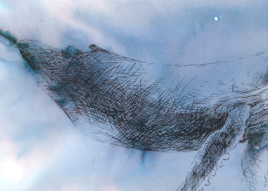 Close up of drawing 