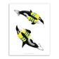 11"x14" Lifejacket Orcas