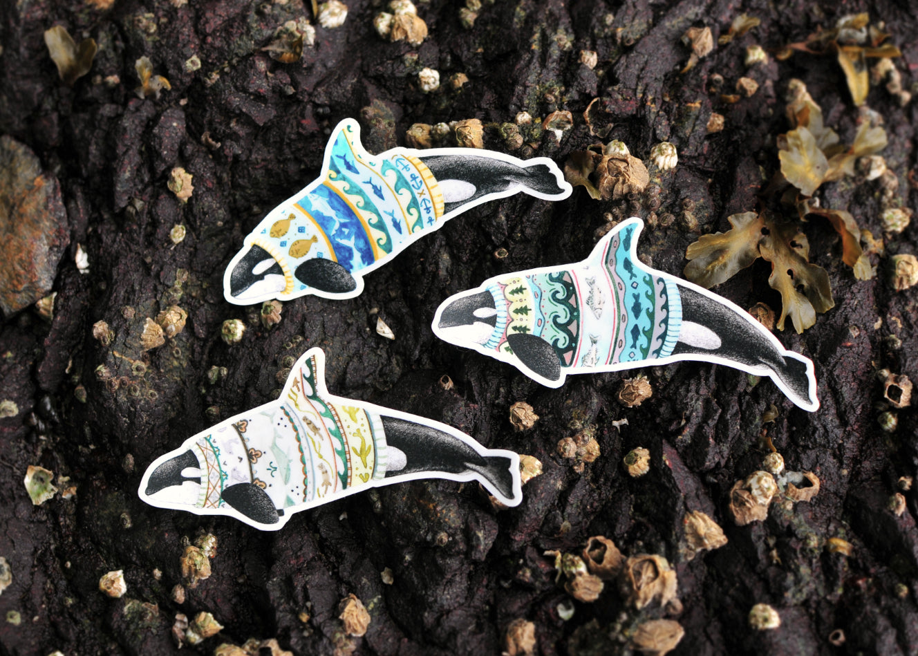 Whale Stickers - Set of Three Matriarch Orca Stickers