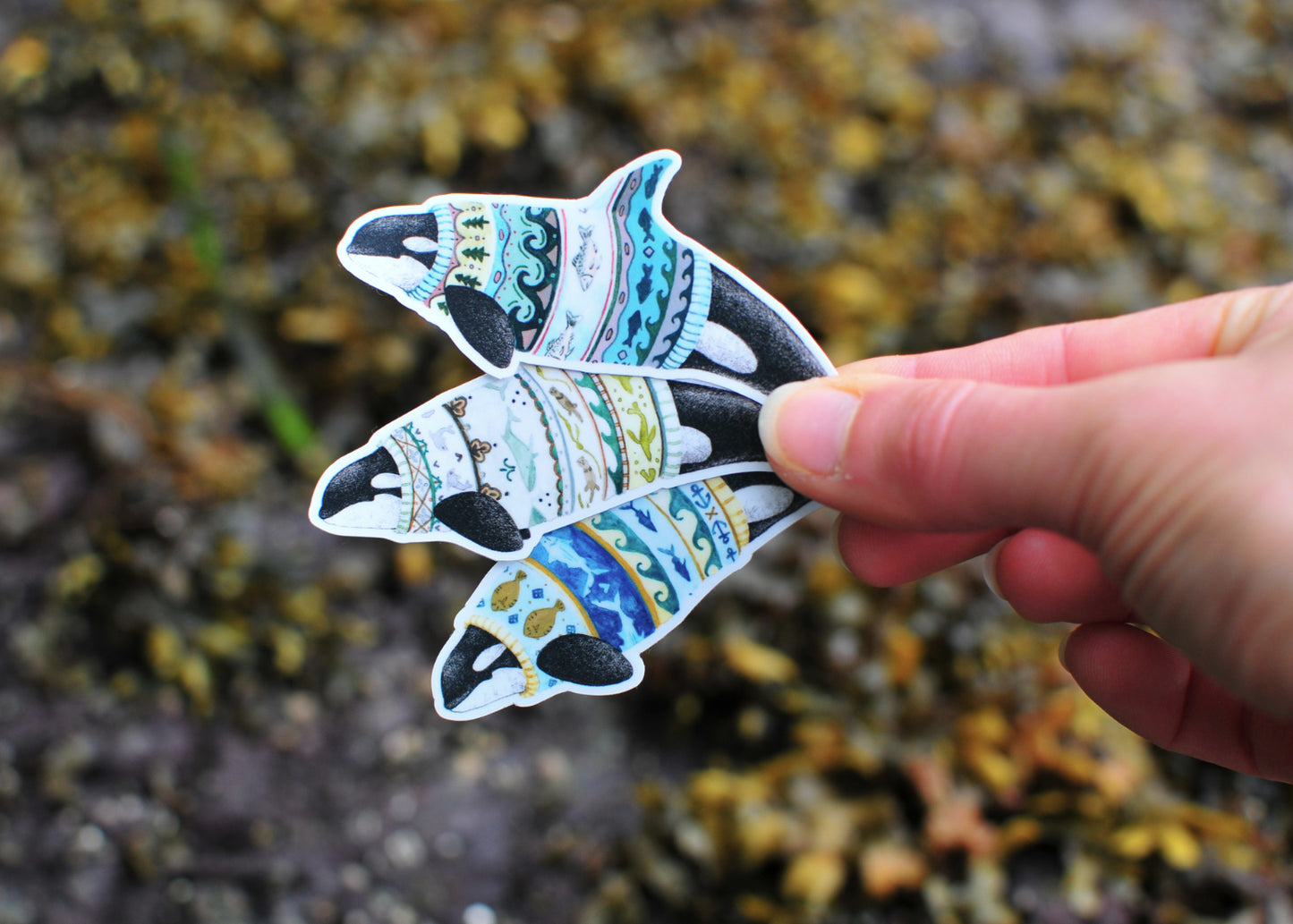 Whale Stickers - Set of Three Matriarch Orca Stickers