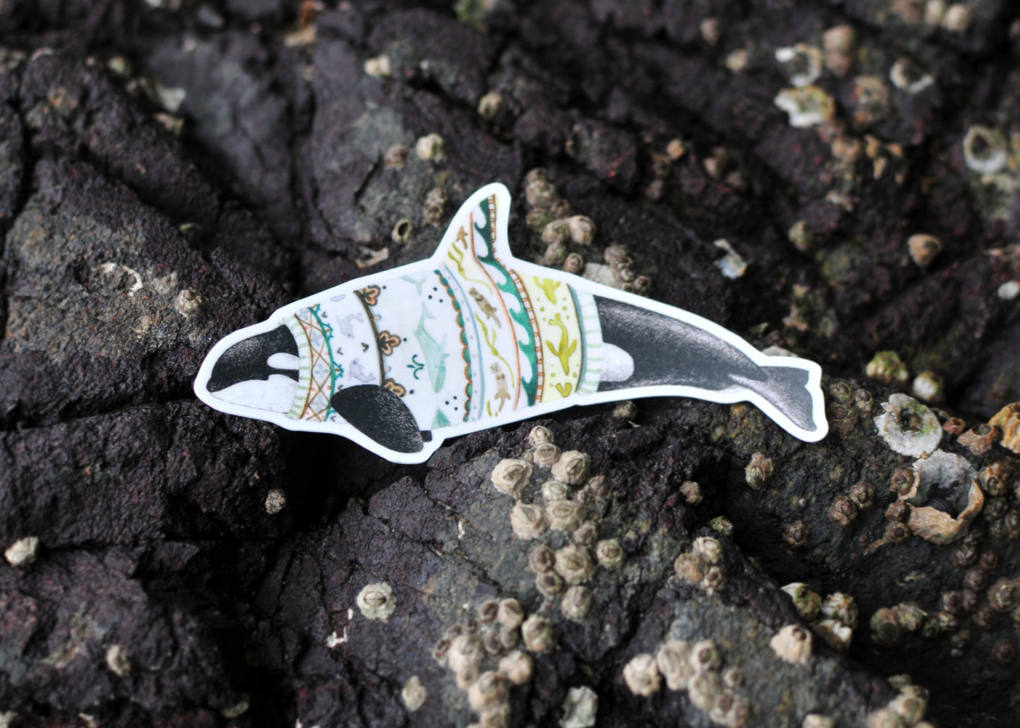 Whale Stickers - Set of Three Matriarch Orca Stickers