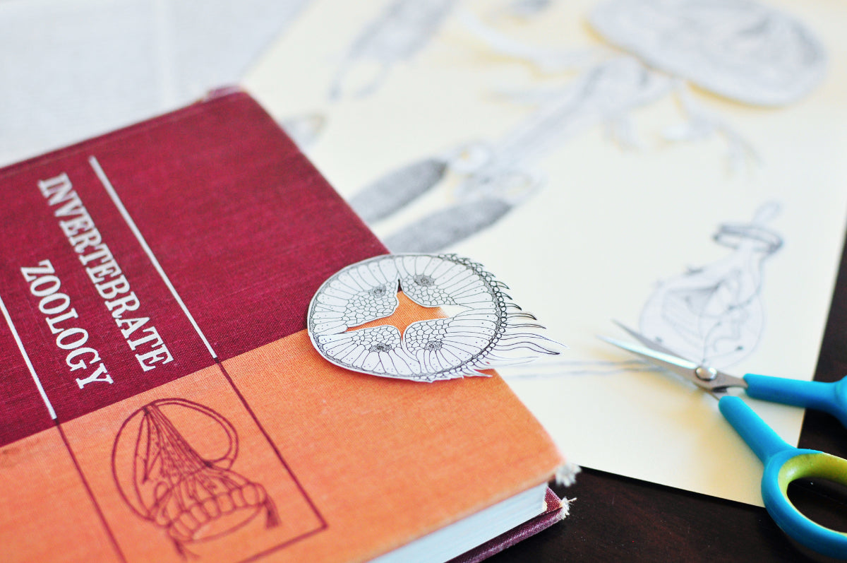 Decadent Diagrams: Collage & Drawing Workshop
