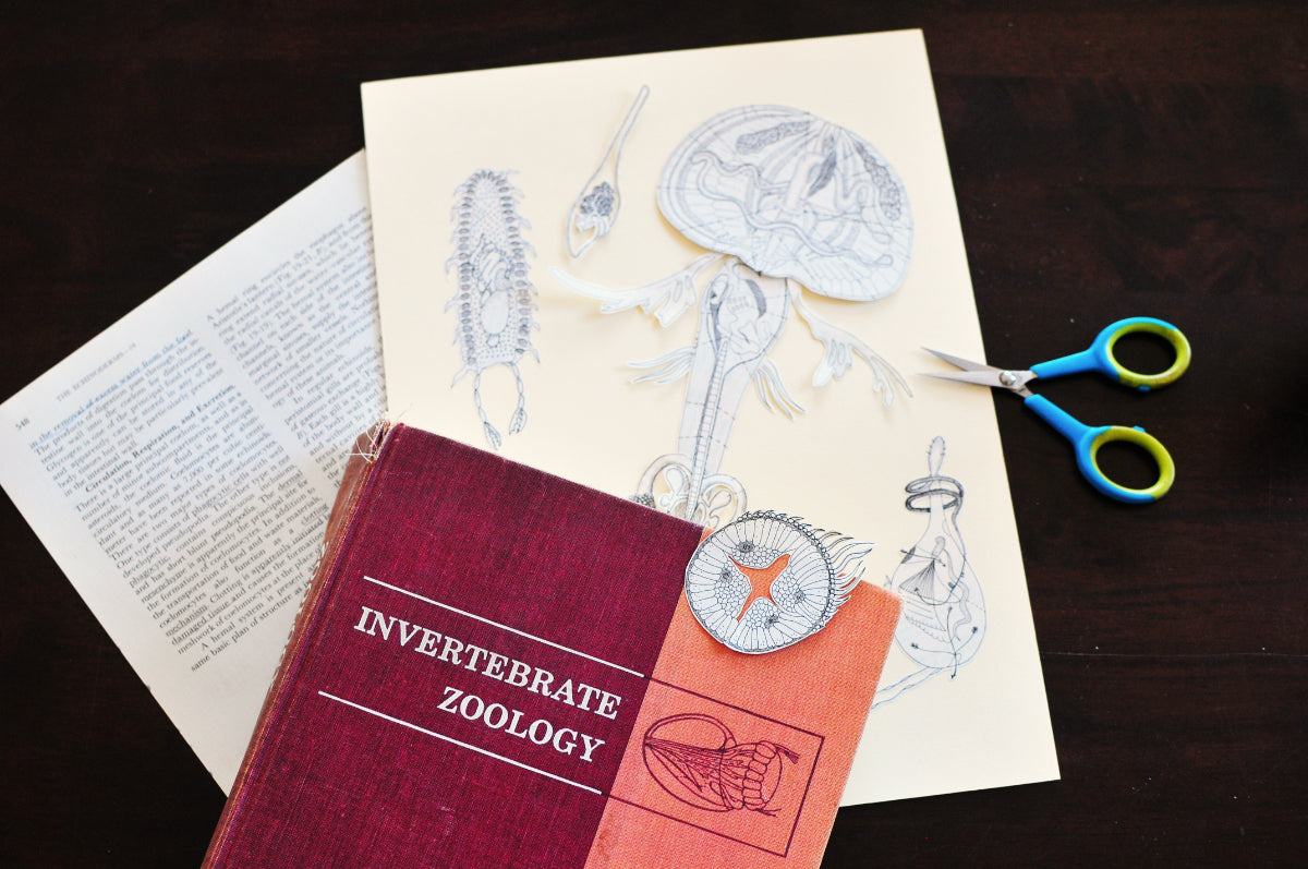 Decadent Diagrams: Collage & Drawing Workshop