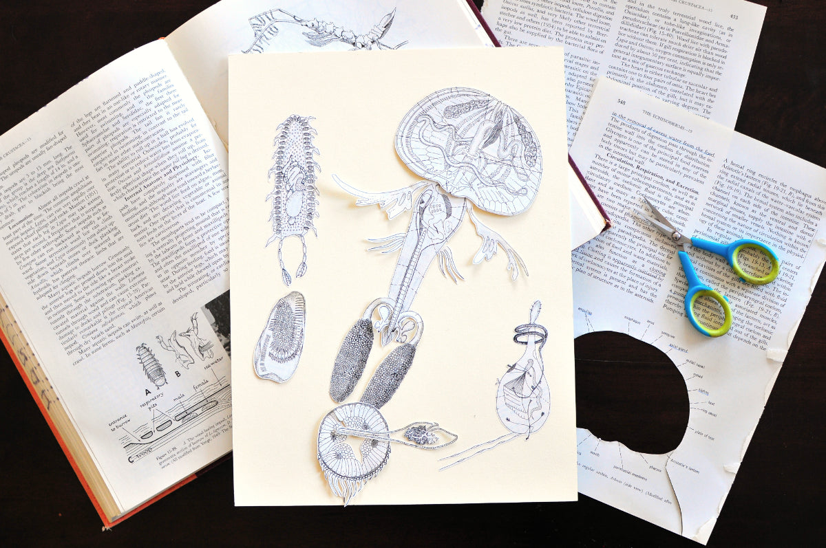 Decadent Diagrams: Collage & Drawing Workshop