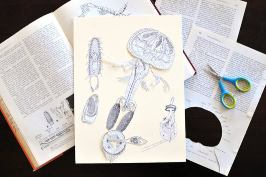 Decadent Diagrams: Collage & Drawing Workshop