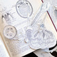 Decadent Diagrams: Collage & Drawing Workshop