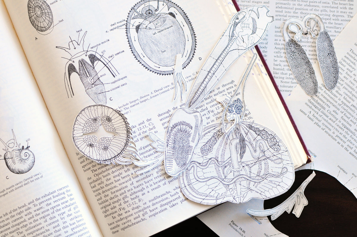 Decadent Diagrams: Collage & Drawing Workshop