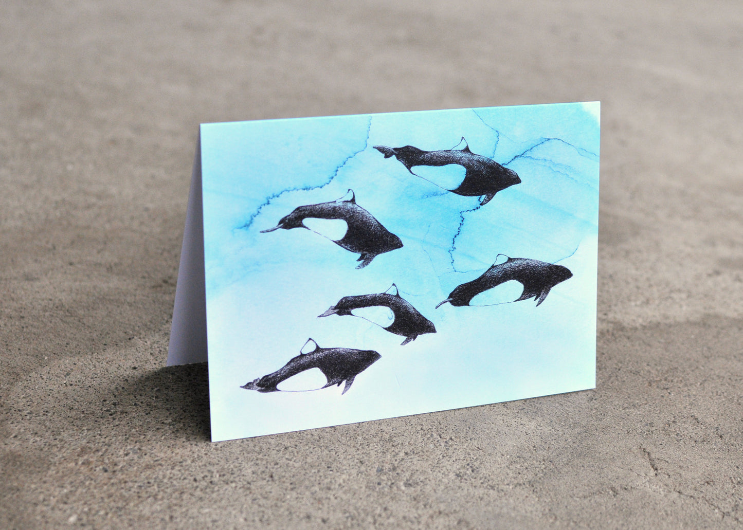 Dall's Porpoise Greeting Card - Ocean Series