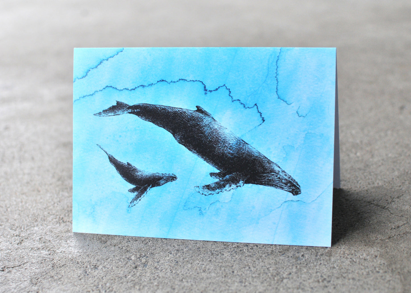 Humpback Whale Greeting Card - Ocean Series