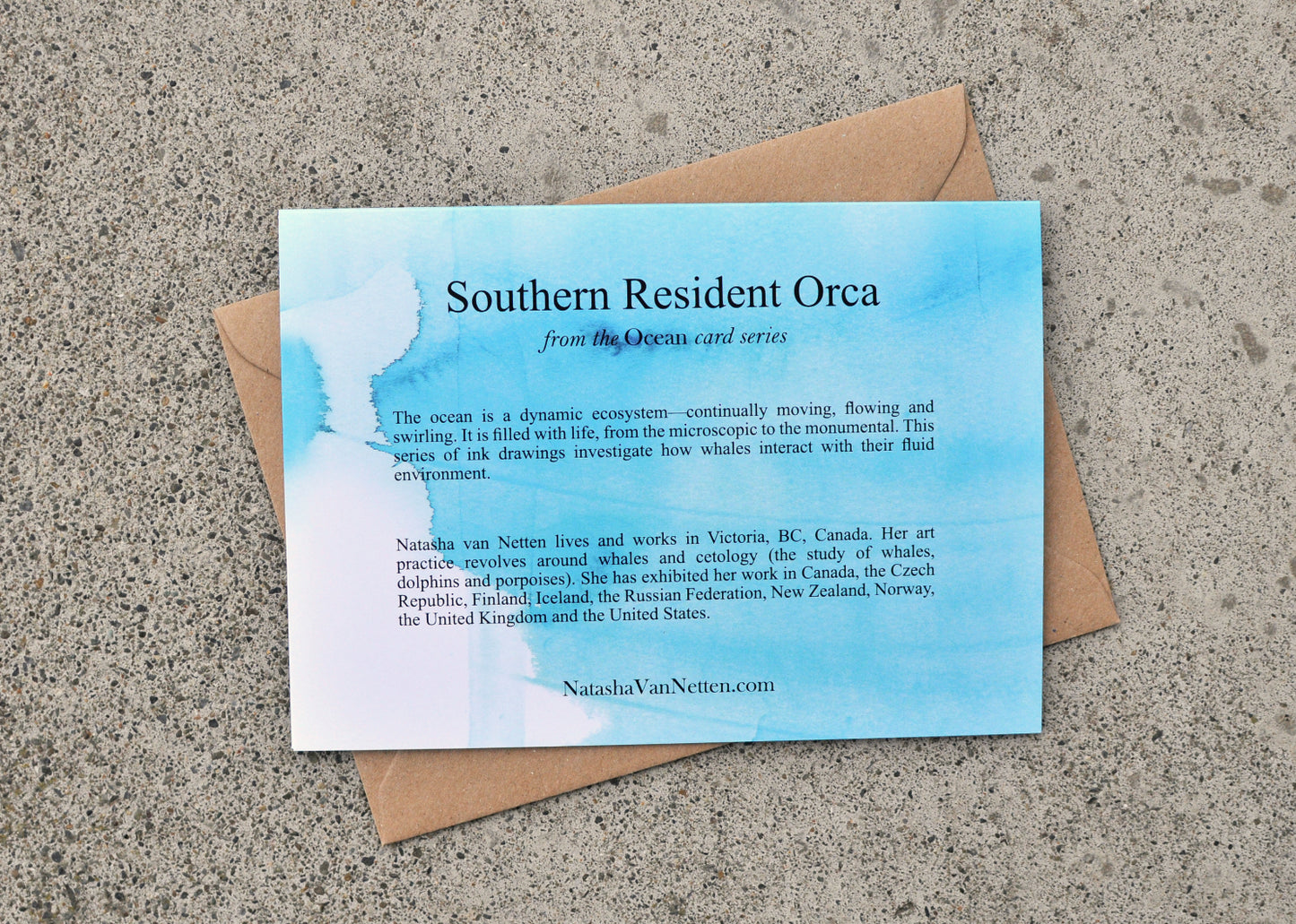 Orca Greeting Card - Ocean Series