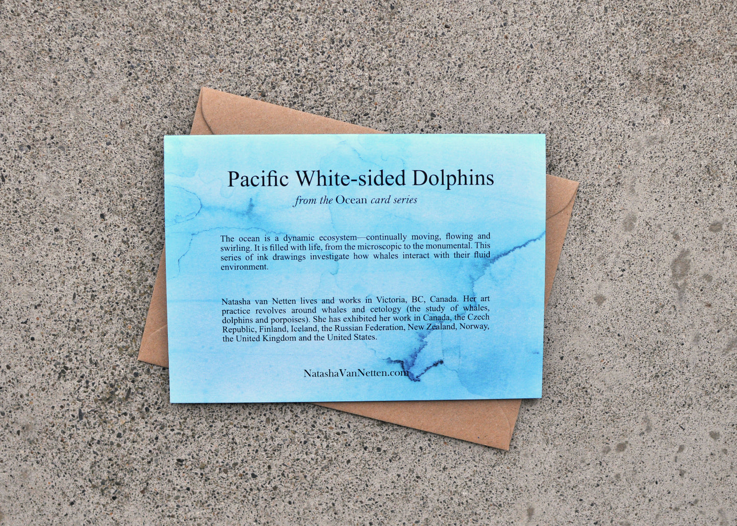 Pacific White-Sided Dolphin - Ocean Series