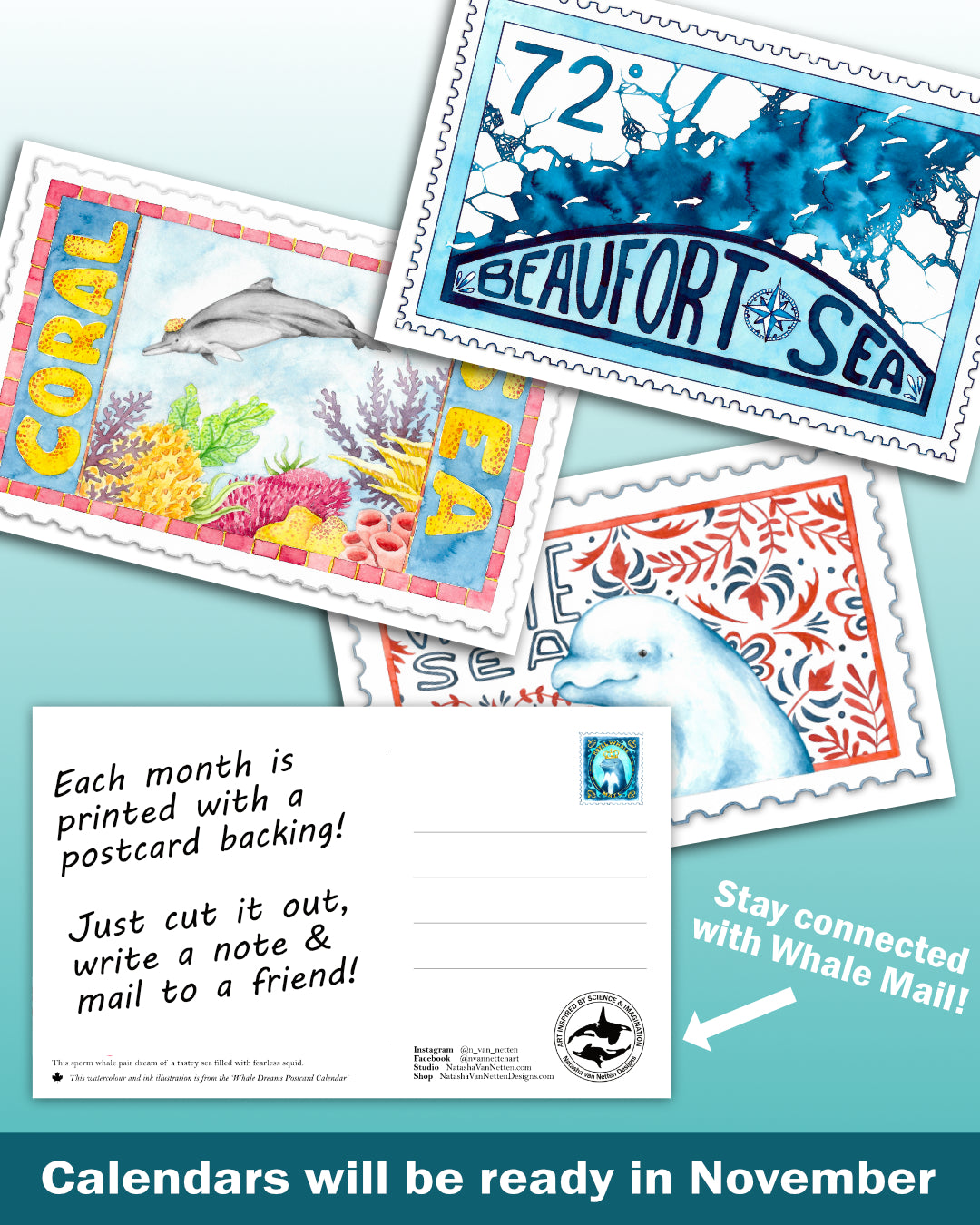 Limited Time Pre-Order: Whale Mail Postcard Calendar 2027