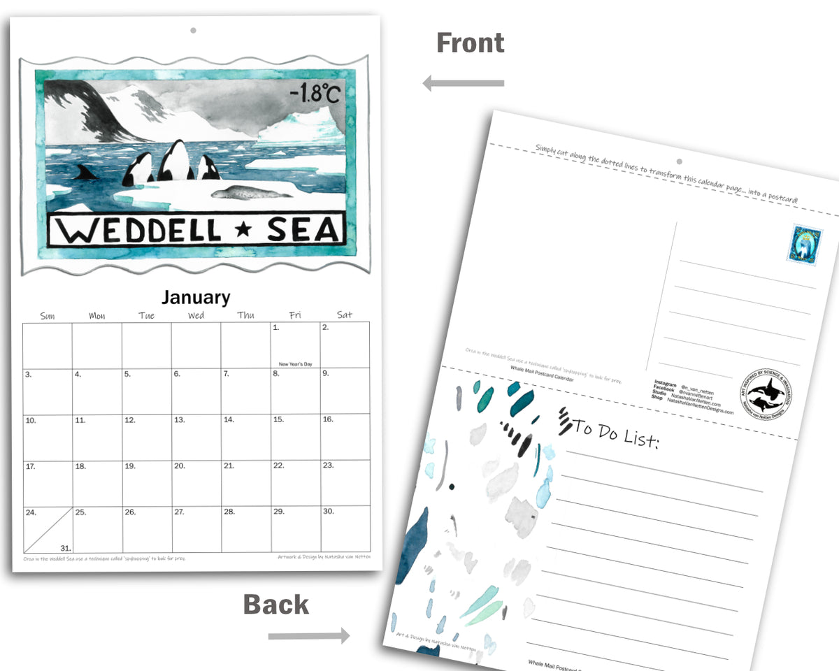 Whale Mail Postcard Calendar 2027