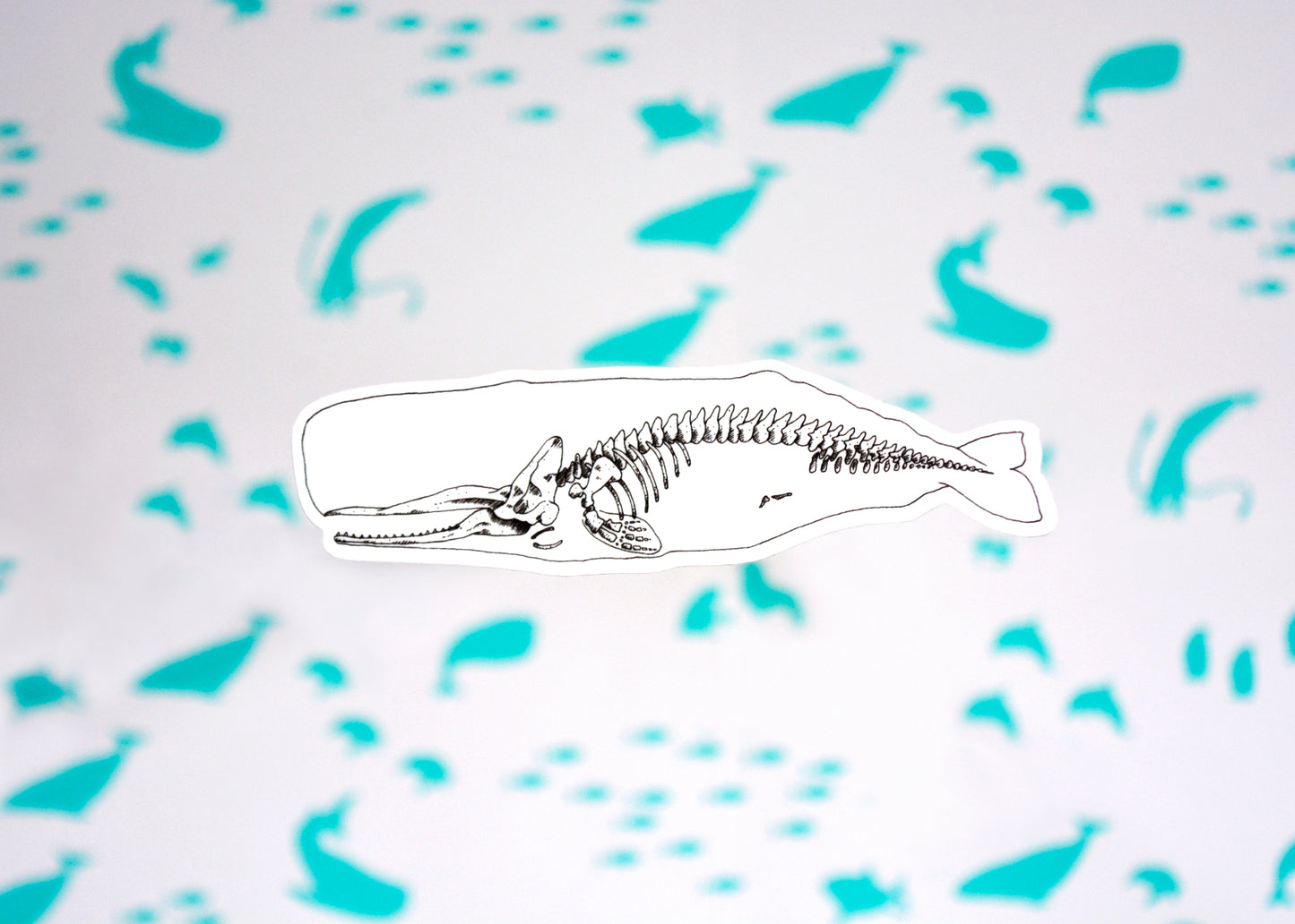 X-Ray Sperm Whale Sticker