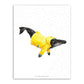 8.5"x11" Humpback Rain Jacket Wet Coast
