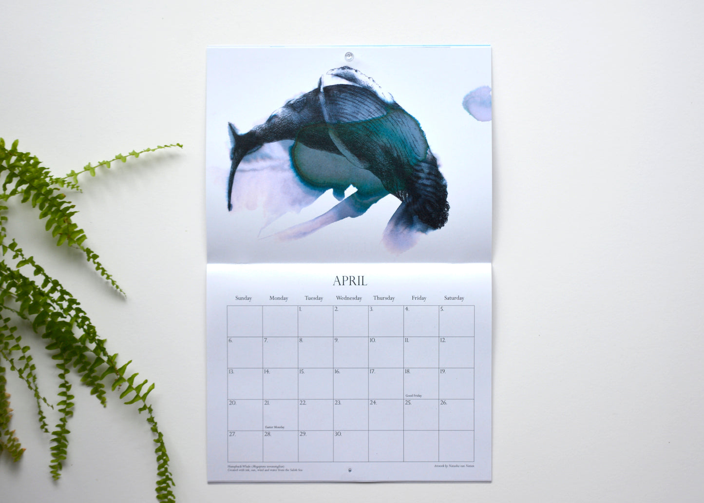 Calendar Whales & Water 2025 - NEW