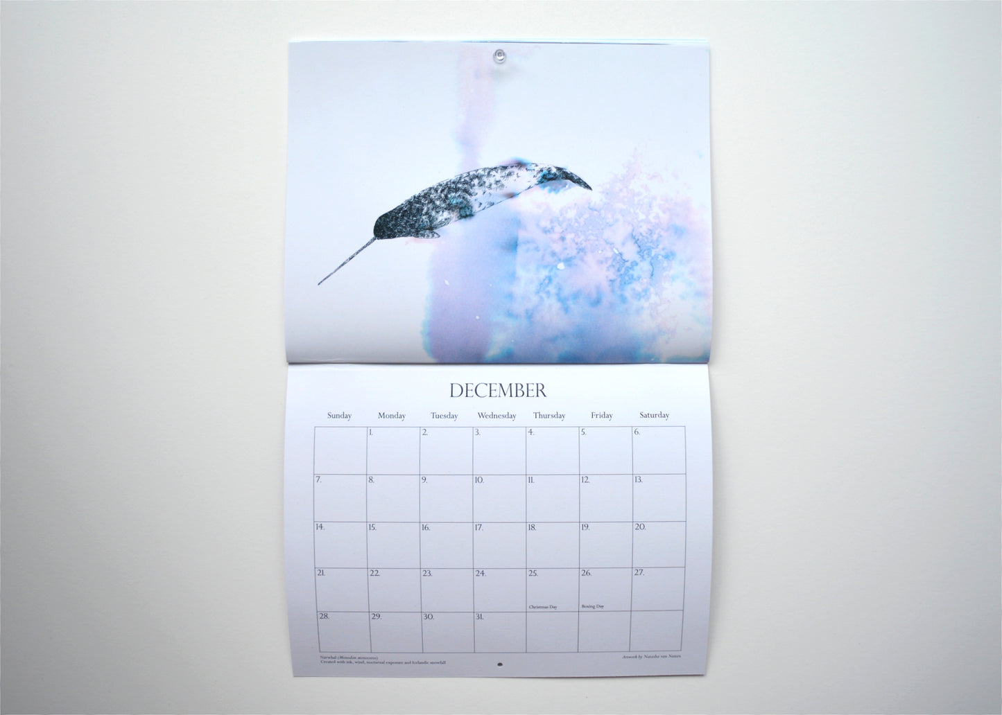 Calendar Whales & Water 2025 - NEW